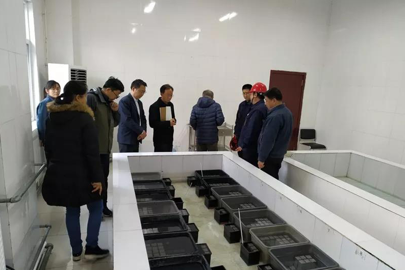 1543463309304021814.png 图1.png